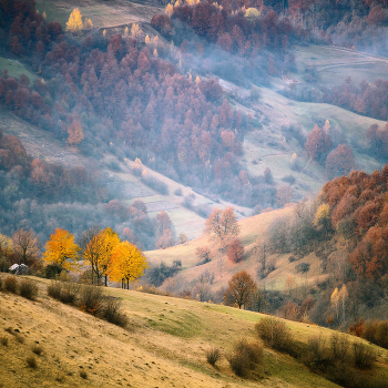 Осенняя палитра
